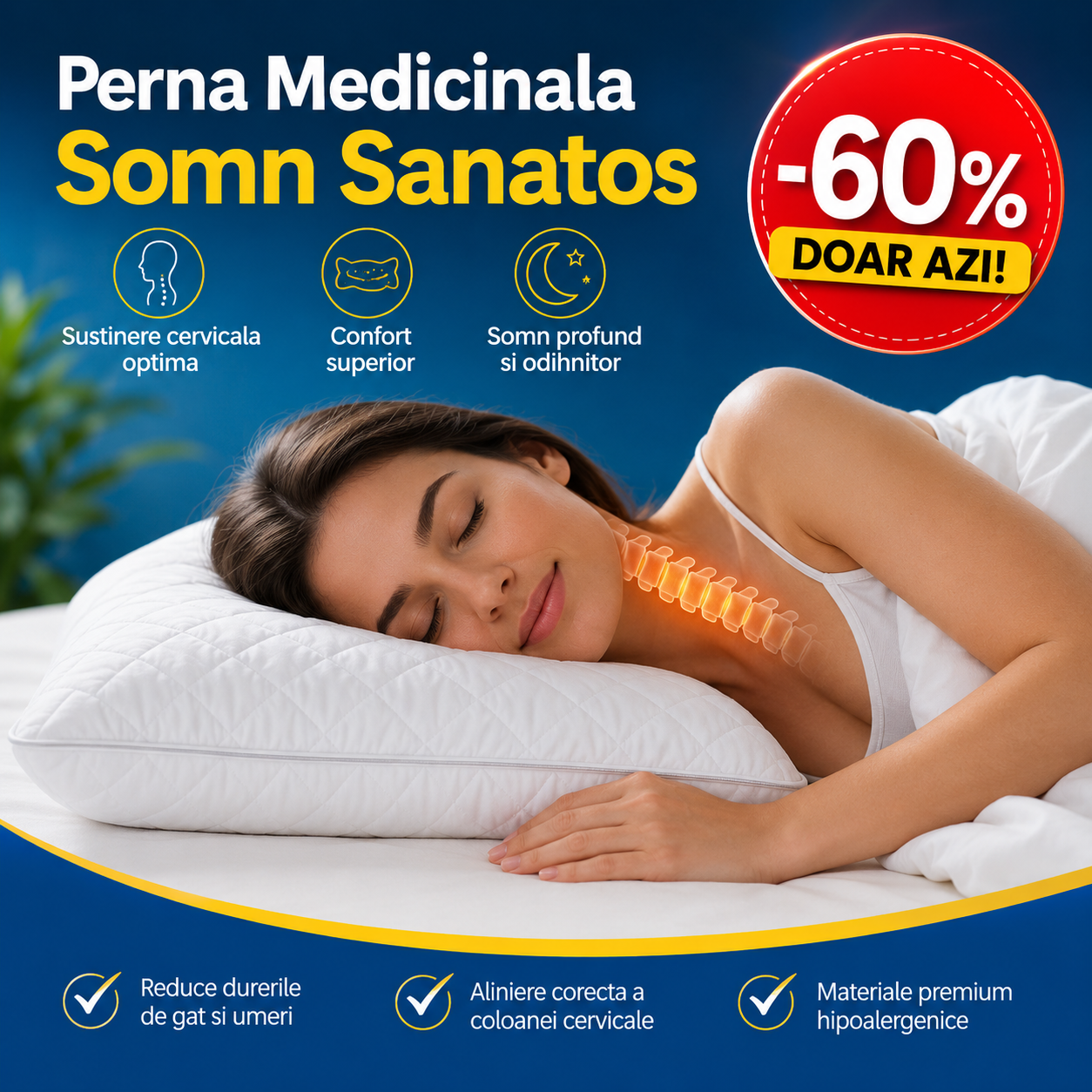 Perna Hoteliera Medicinala Matlasata