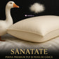 Perna Puf si Pana Gasca Natural Premium 50x70cm